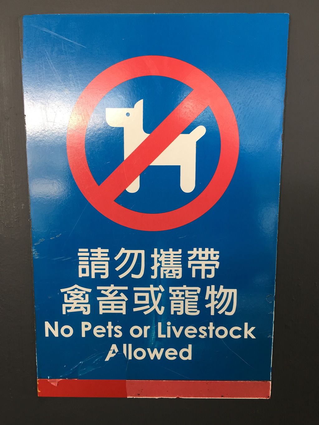 no-pets-or-livestock-allowed.jpg