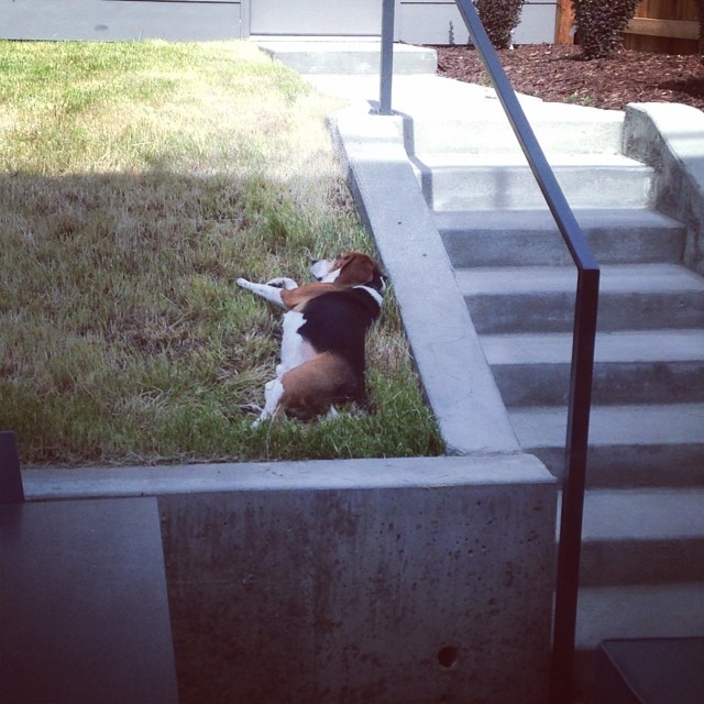 Worn out. And weird.