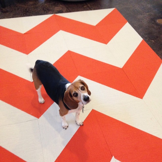 Jasper thinks he's helping build the new Flor.