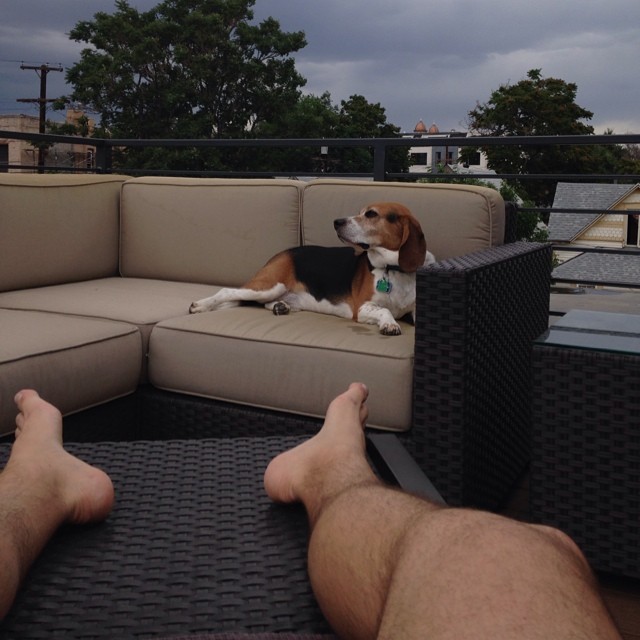 Jasper and I are working on our tans.