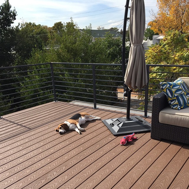 Soaking up the last of the warm season.