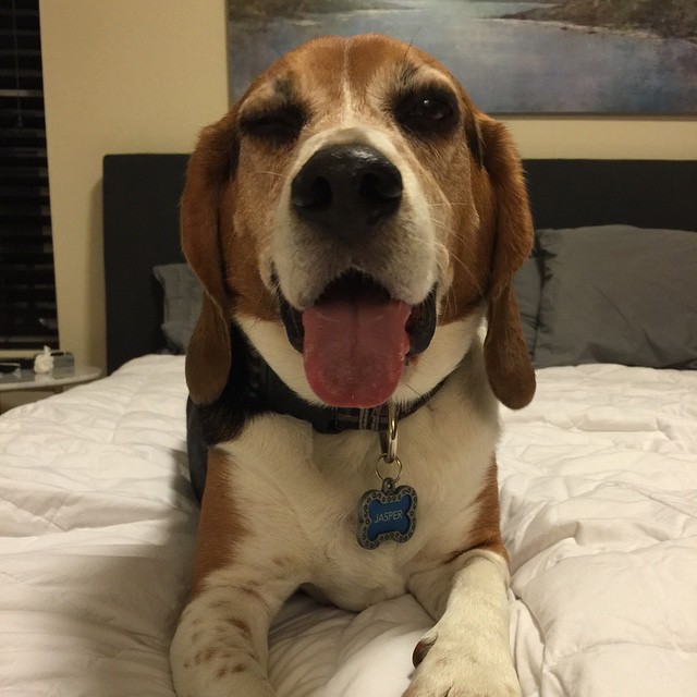Haven't seen this beast in weeks. Good to have him home. And apparently he learned to wink on vacation.