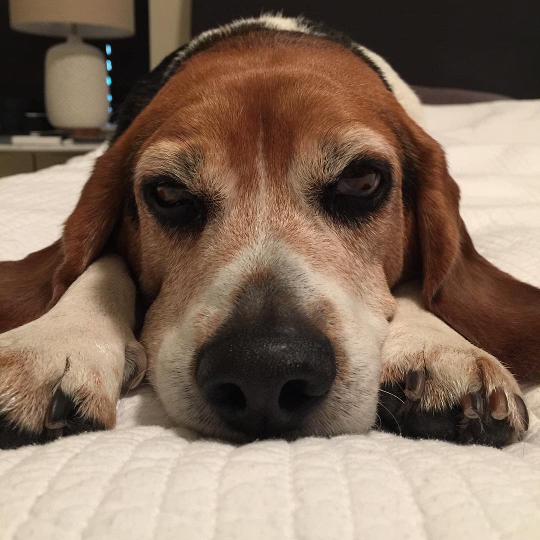 Not ready to wake up.