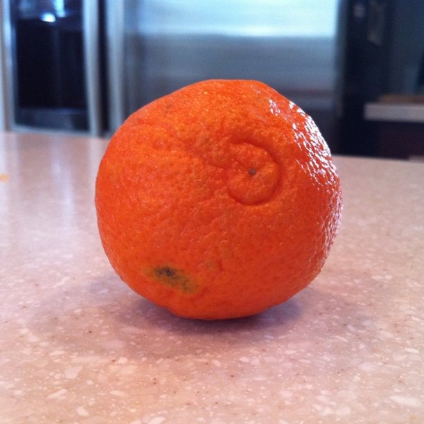Not all Cuties are cute. 