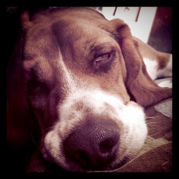 Nap time