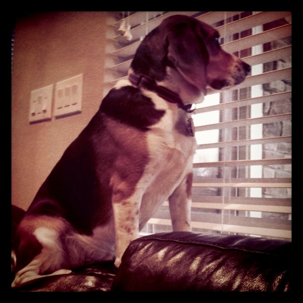 Always on the lookout