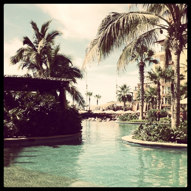 Paradise