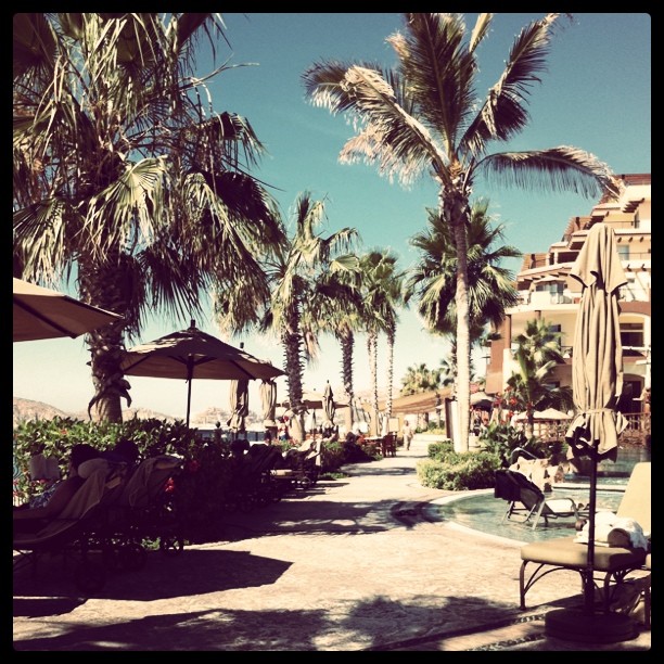 Today's view
