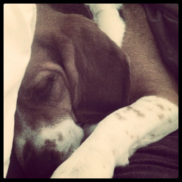 Exhaustion