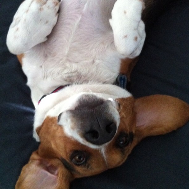 Do I have to get out of bed?