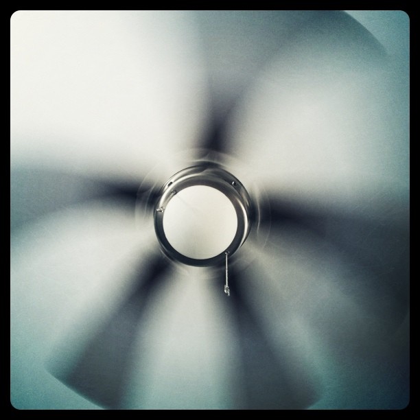 Ceiling fan