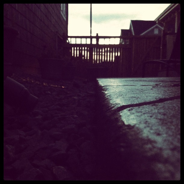 After the rain