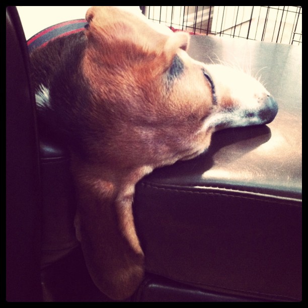 Falling ear