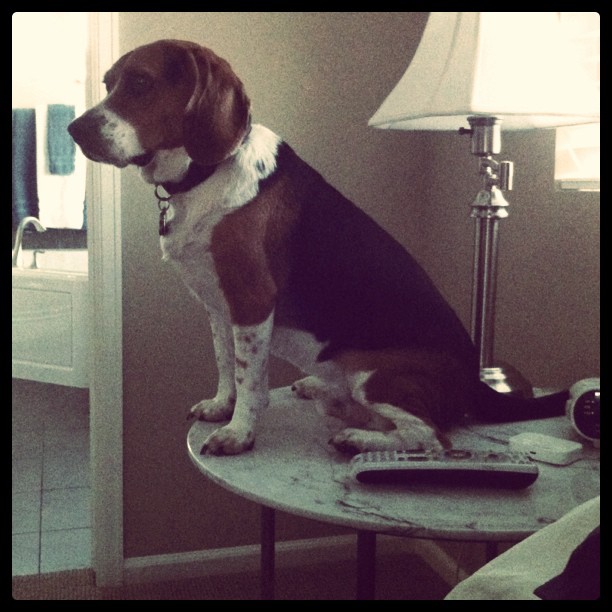 On his throne
