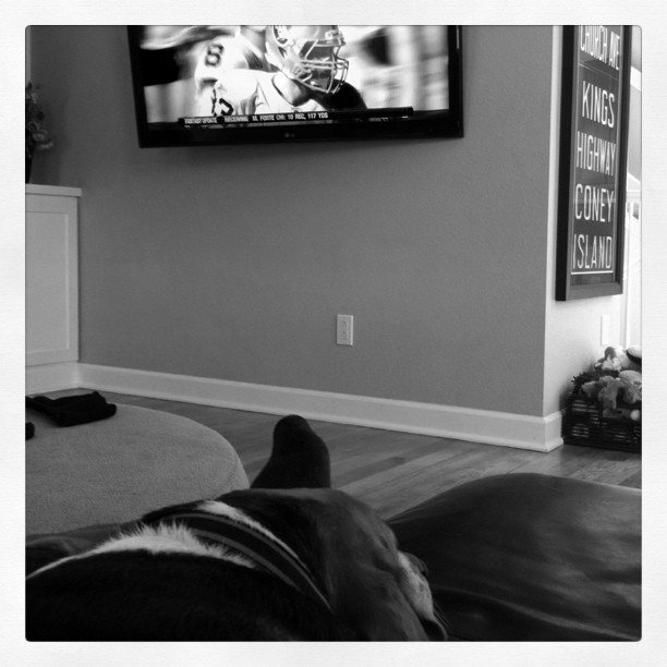 Sofa + dog + football = Sunday