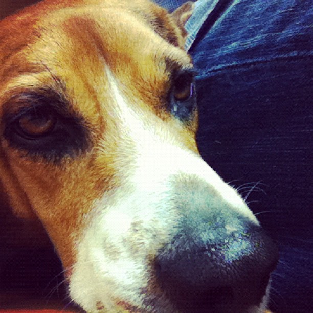 Jasper waiting for his test results
