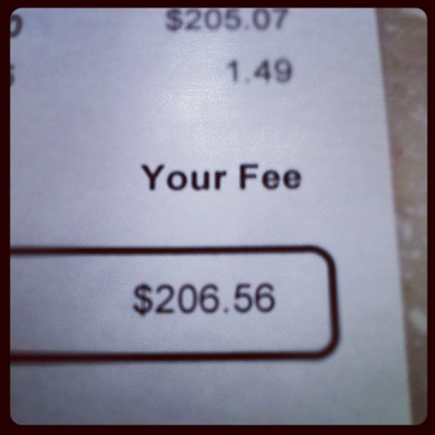Sick dogs are expensive