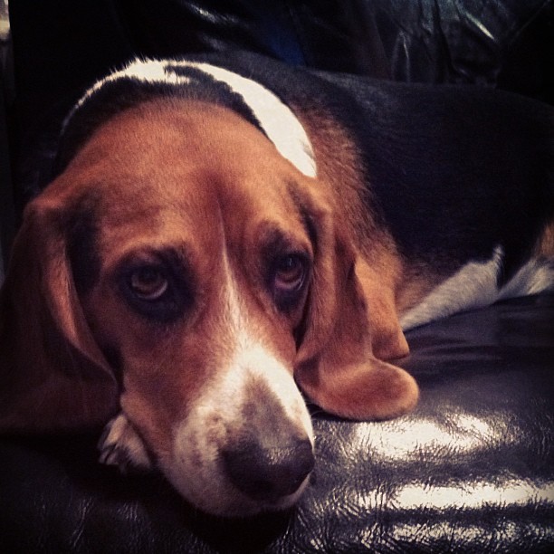 Jasper is not #nintendoenthused 