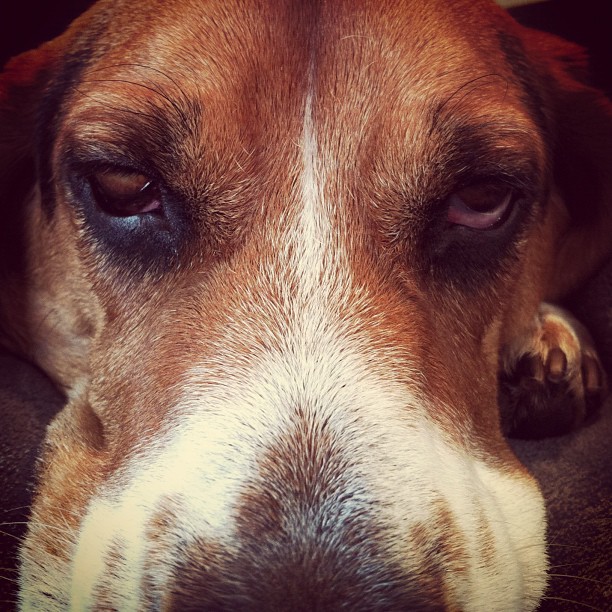 Heavy eye lids.