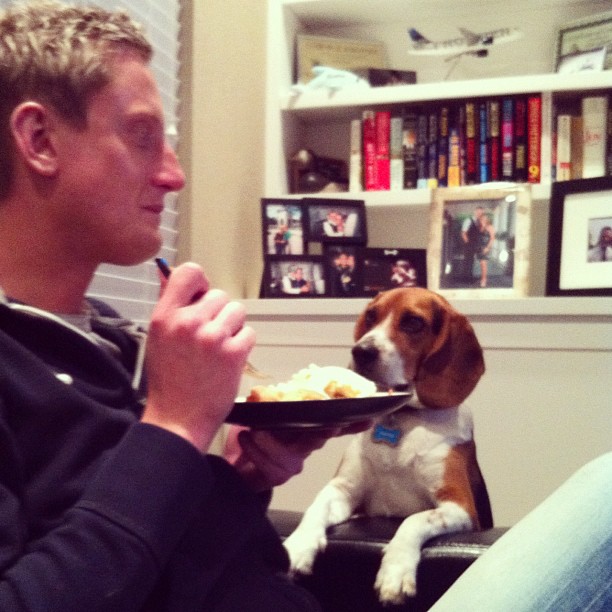 Someone is hungry