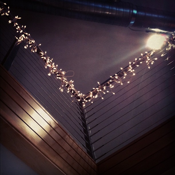 Holiday lights