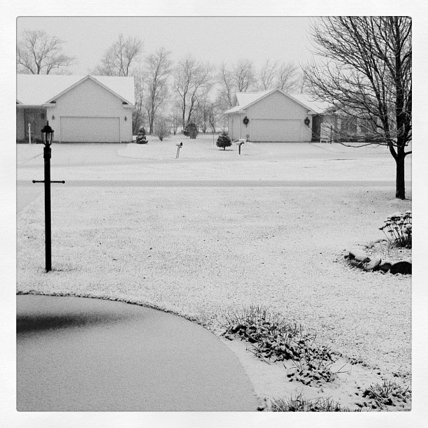 It finally snowed in Michigan. 