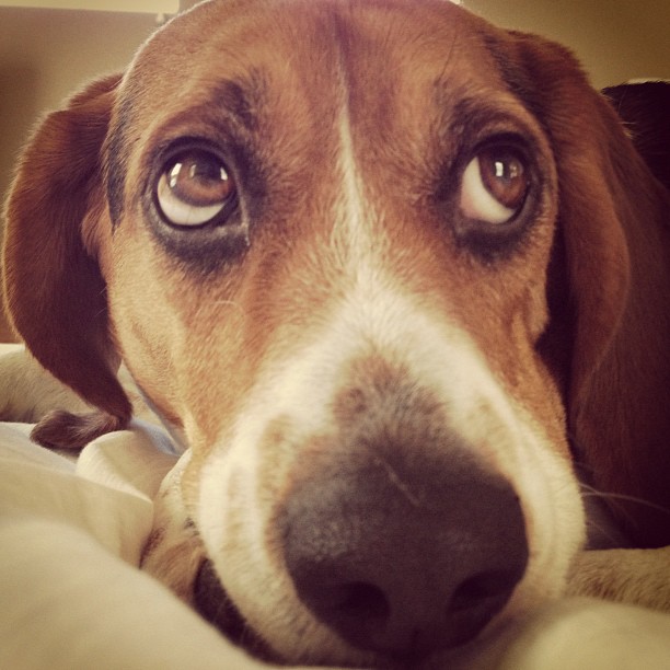 Waking up.