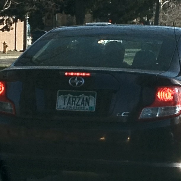 Figures Tarzan would drive a Scion