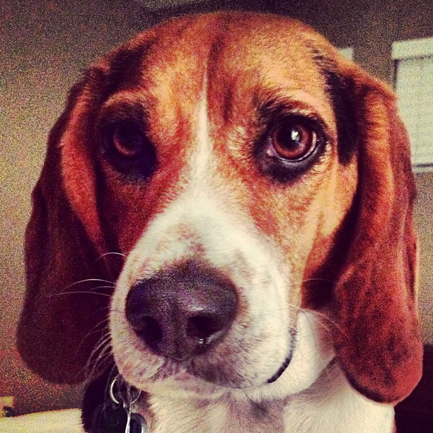 Someone doesn't want to go to bed.