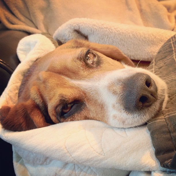 Rough life