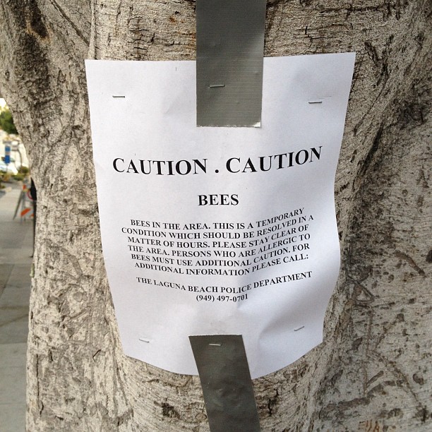 Laguna Beach Police Department's big problem