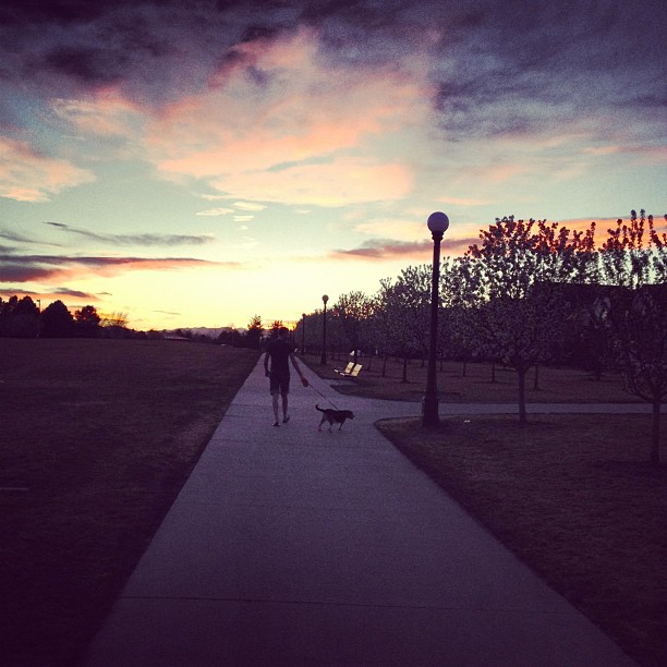 Out for a walk