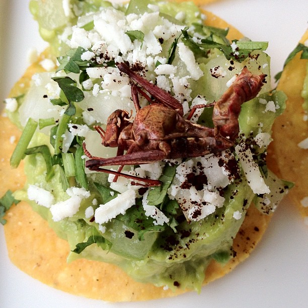 Grasshopper guacamole