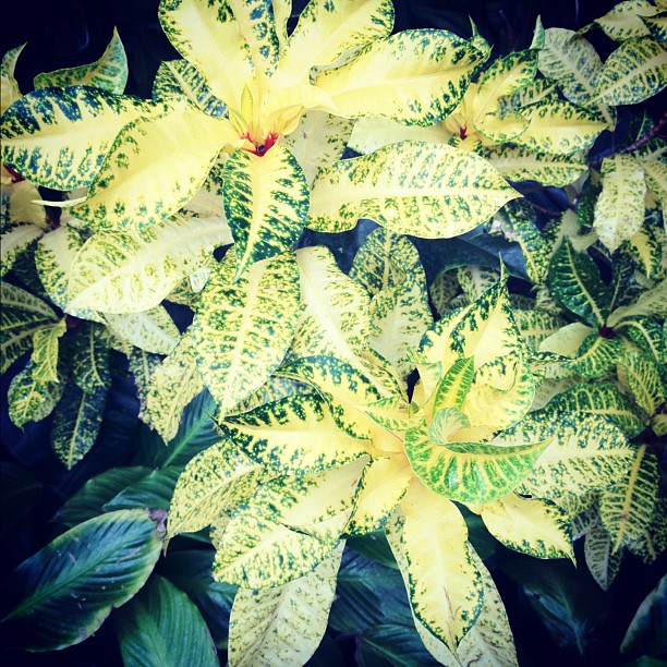 Instagram photo