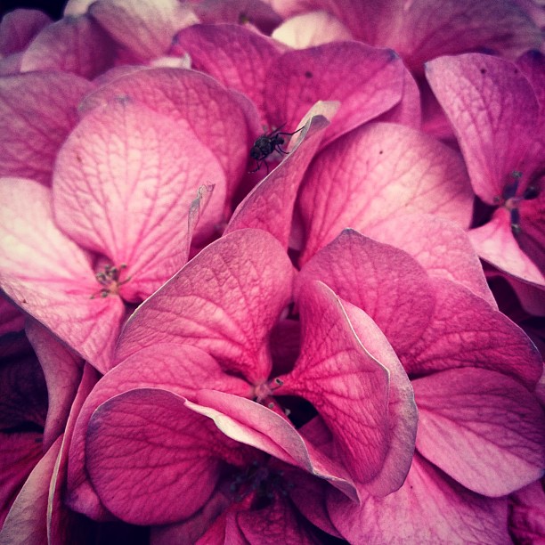 Instagram photo
