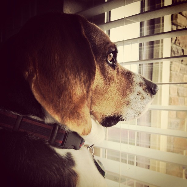 Keeping watch