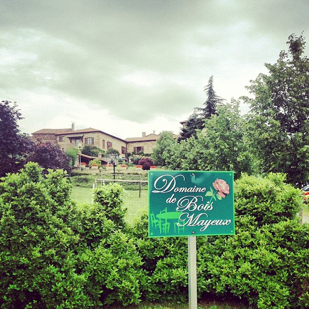 Domaine de Bois Mayeux