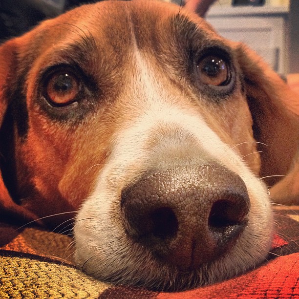 Those eyes