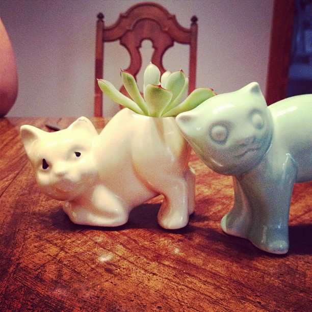 Meow