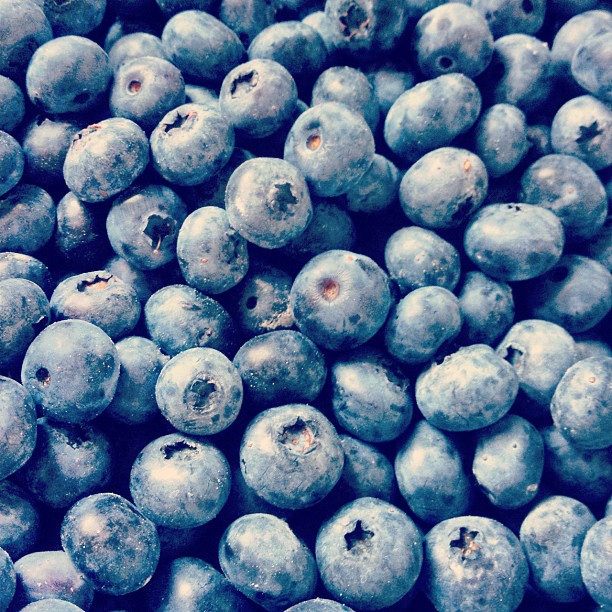 Michigan Blueberries