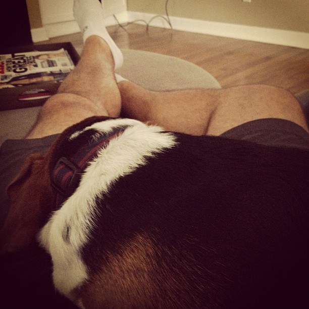 If I lay on him, he'll never leave me again, right?