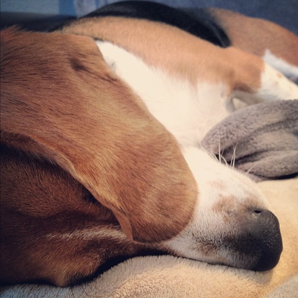 So tired