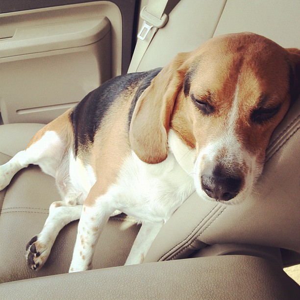Someone got exhausted by day care