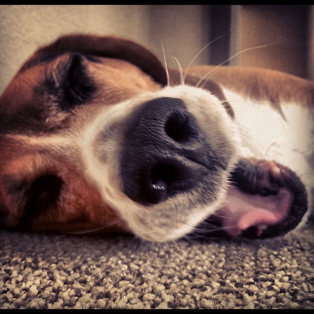 Yawn