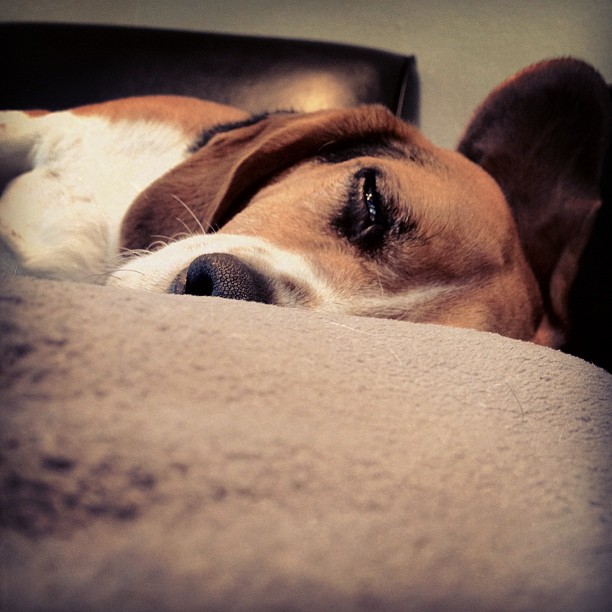 I have the laziest coworker!