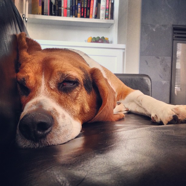 Lazy Saturday