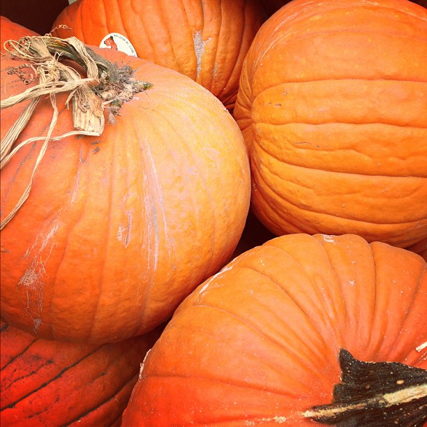 Pumpkins!