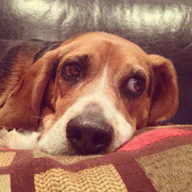 What Jasper thought of the debate.