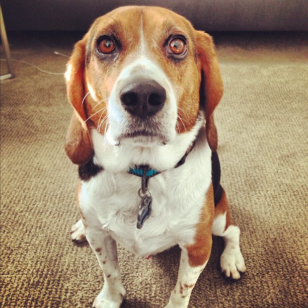 Why do you leave me every day?