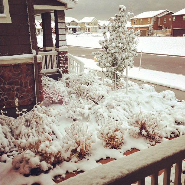 A winter wonderland.